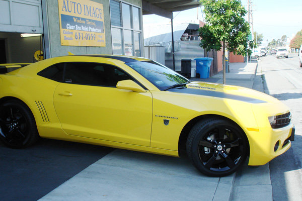 Tint Image 11