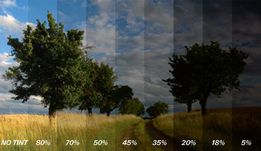Various window tinting options